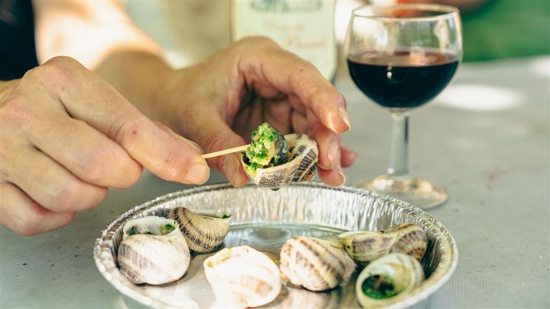 La ferme aux escargots