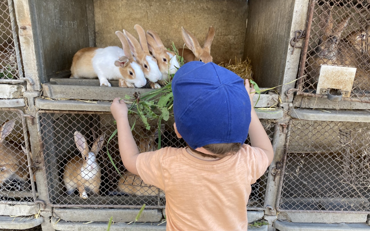 Maison Munhoa, Méharin - photo 8