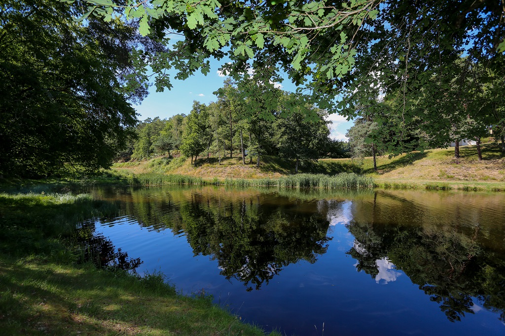 Circuit 29 - Les trésors de Lapleau, Lapleau
