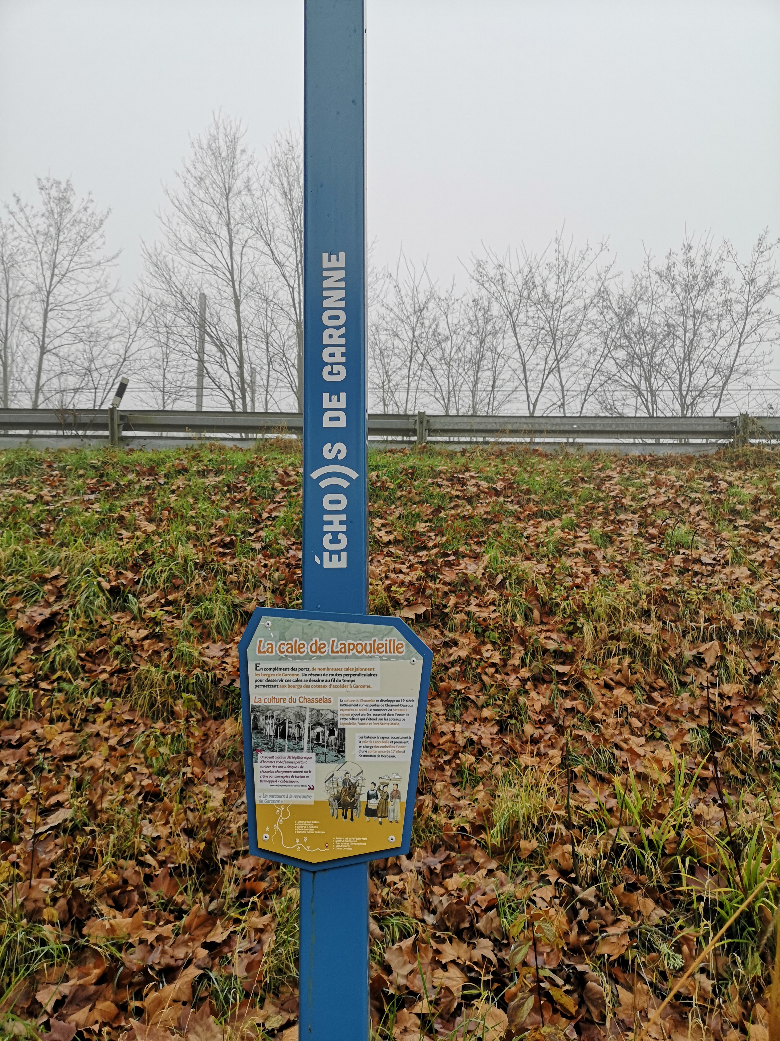 Echos de Garonne à Lapouleille - Clermont-Dessous, Clermont-Dessous - photo 2