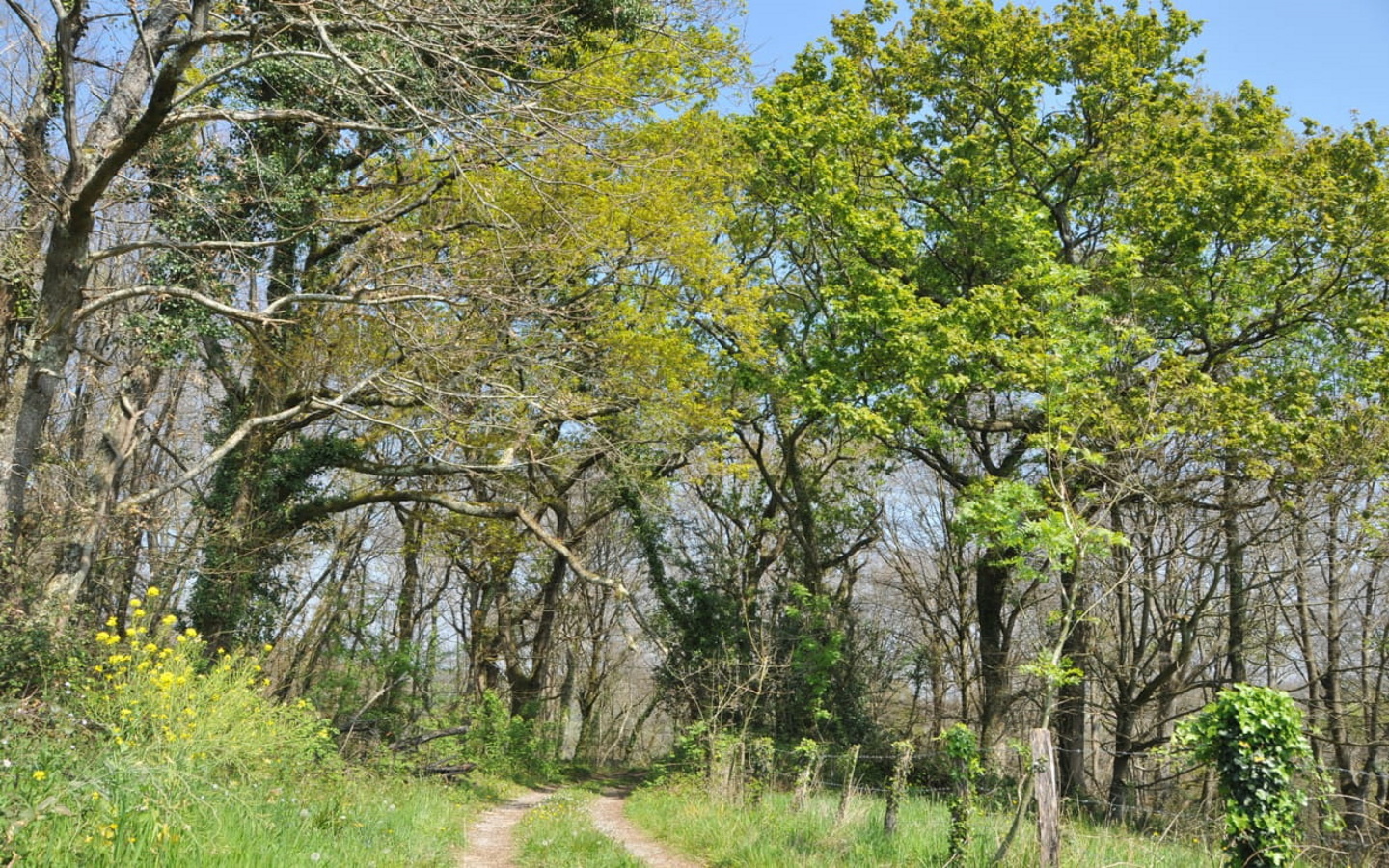 Randonnée accompagnée CAPB : Larraldota, Arancou - photo 4