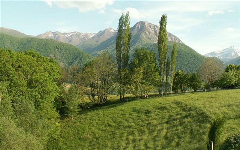 Cottage Pyrénées - Patricia LARROUY