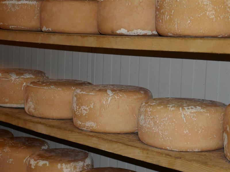 Ferme Las Arradits