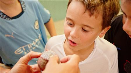 Lauki - Découverte et expériences Pelote Basque