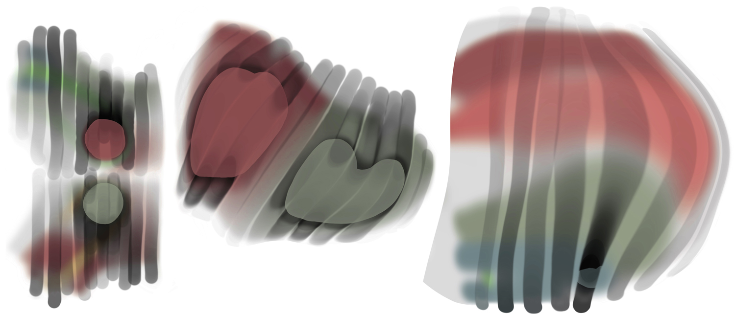 Décors linceulés - Laureline Galliot