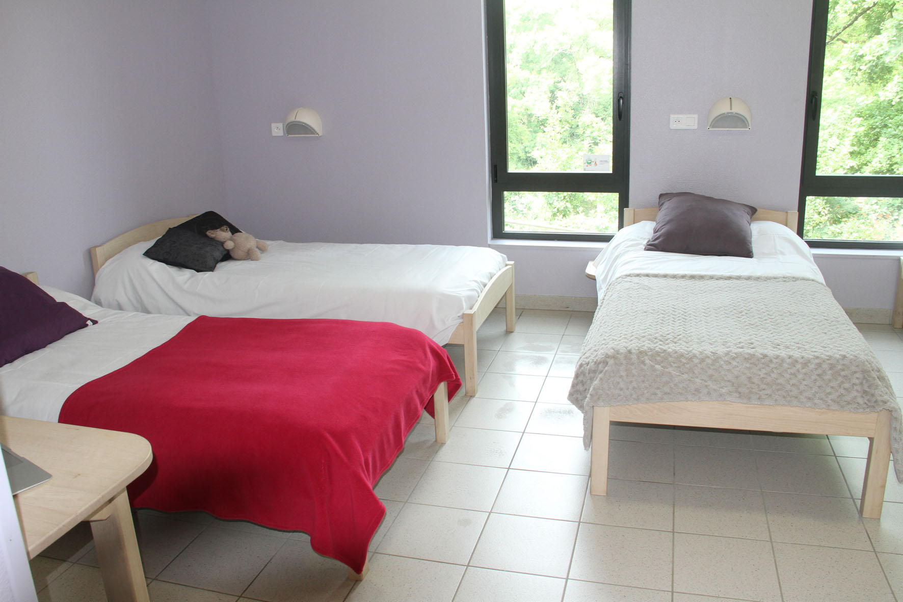 Centre de Plein Air de Lathus, Lathus-Saint-Rémy - photo 2