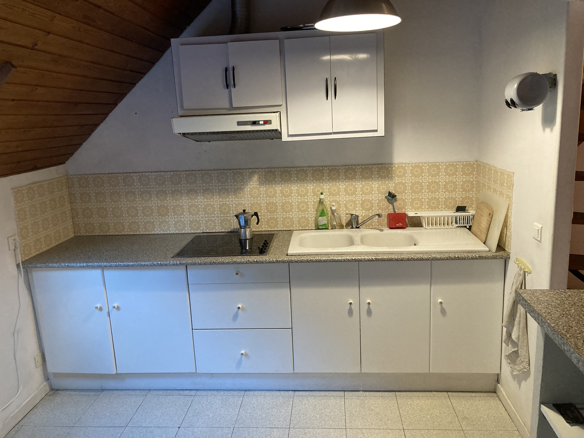 Appartement Lavigne - photo 4