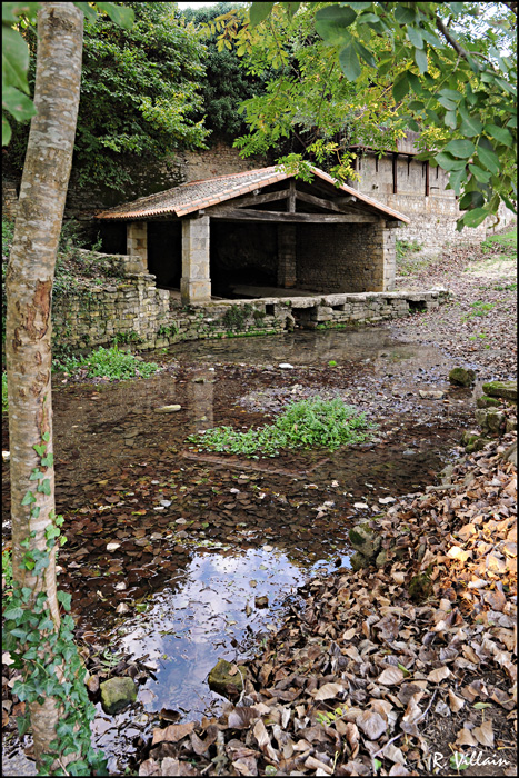 5 lavoirs : De La Roche, Boisne, La Perdrière, Phlé, Chazais