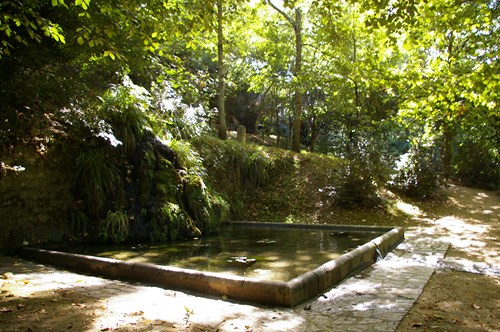 Le Parc Royal de la Garenne, Nérac - photo 6
