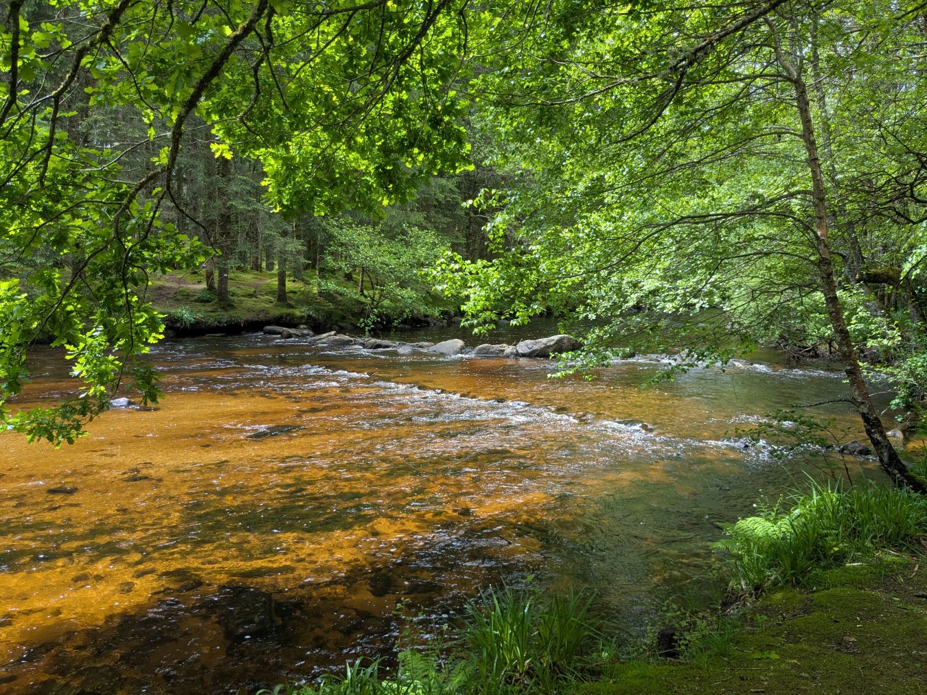 Trail de la Vézère