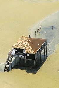 Le Bassin d'Arcachon — photo 2