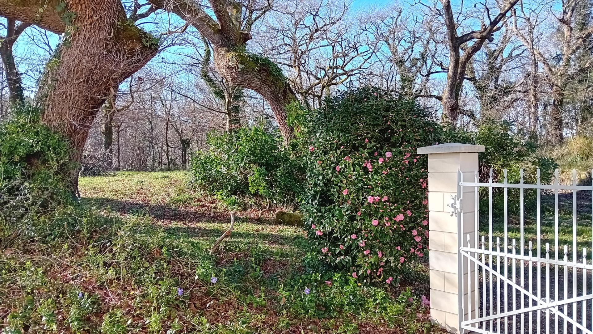 Le Bosquet, Bonnut - photo 12