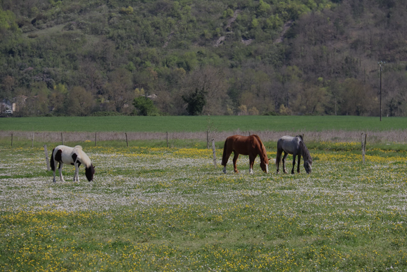 Les Ecuries du Châtelier