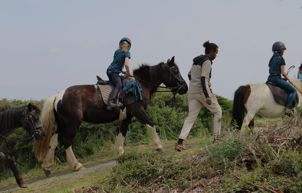 Les Ecuries du Châtelier - photo 2