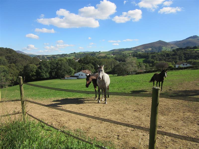 Le Cheval de 3