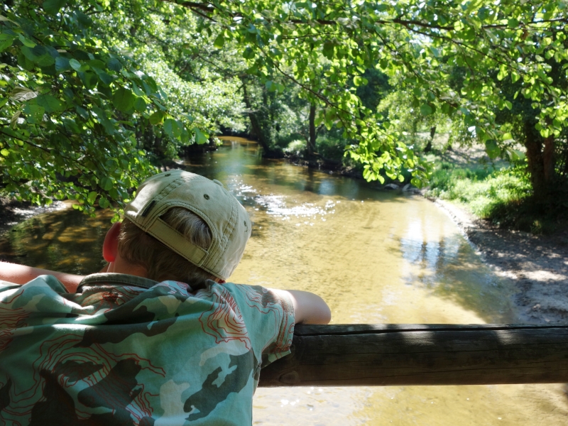 Le Ciron, Bernos-Beaulac