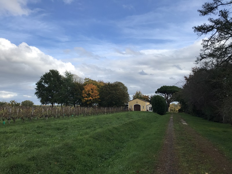 Château Le Cléret