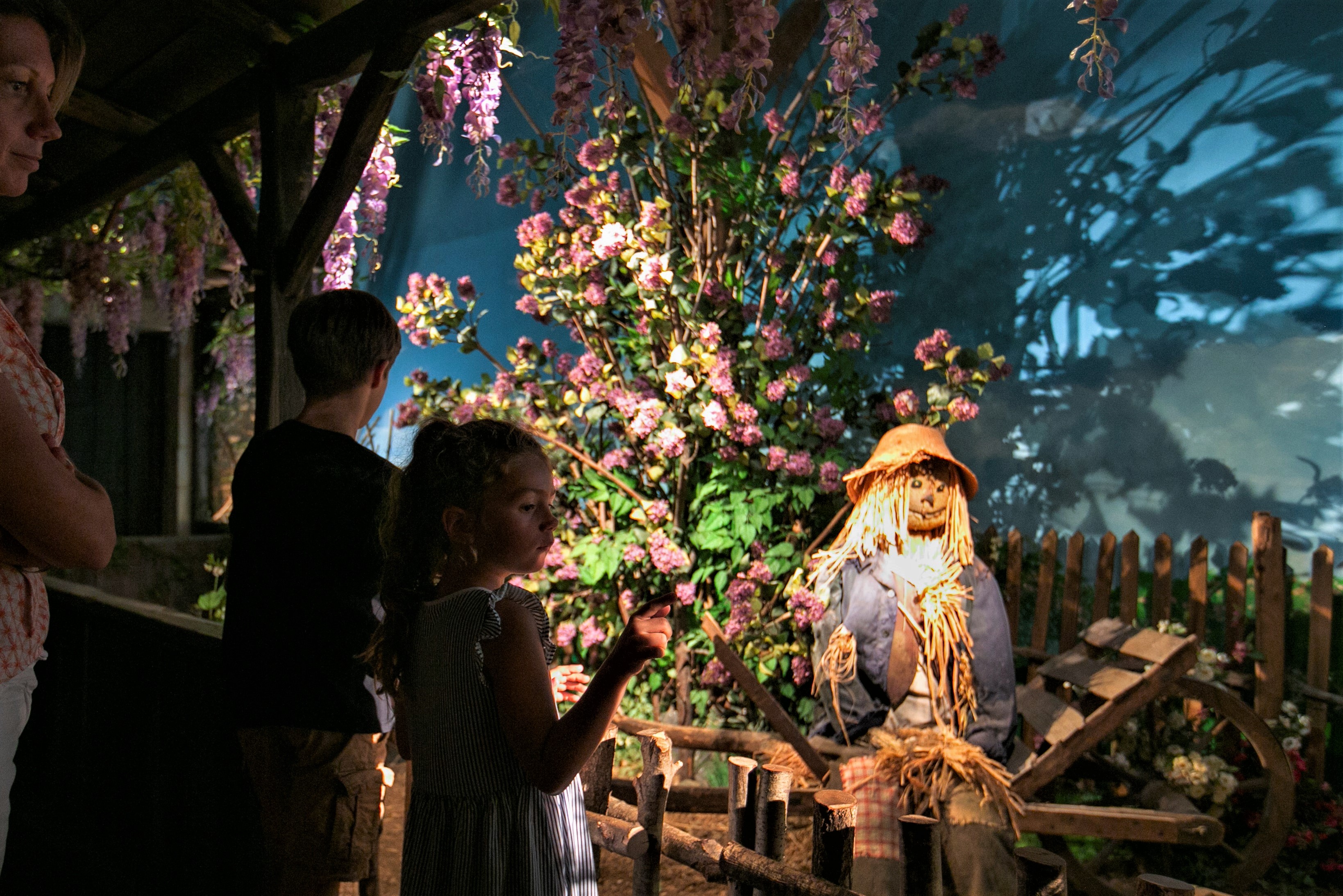 Le Cormenier, Champniers - photo 7