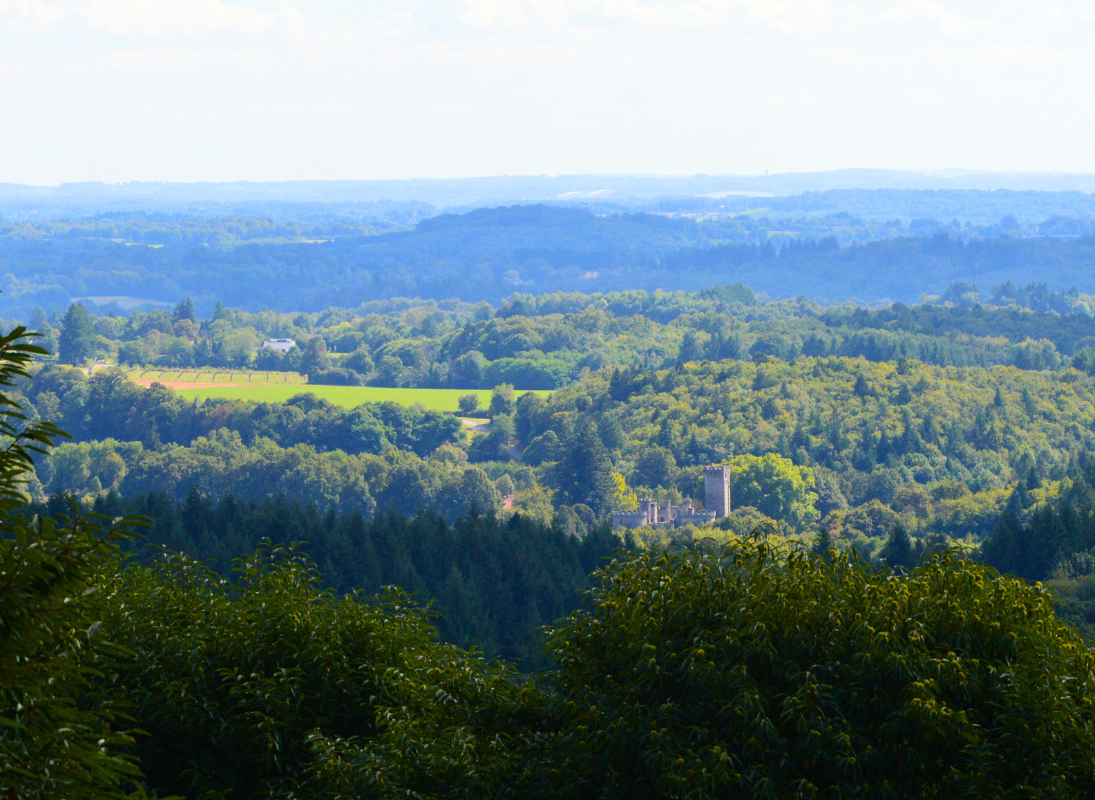 Le Grand Puyconnieux