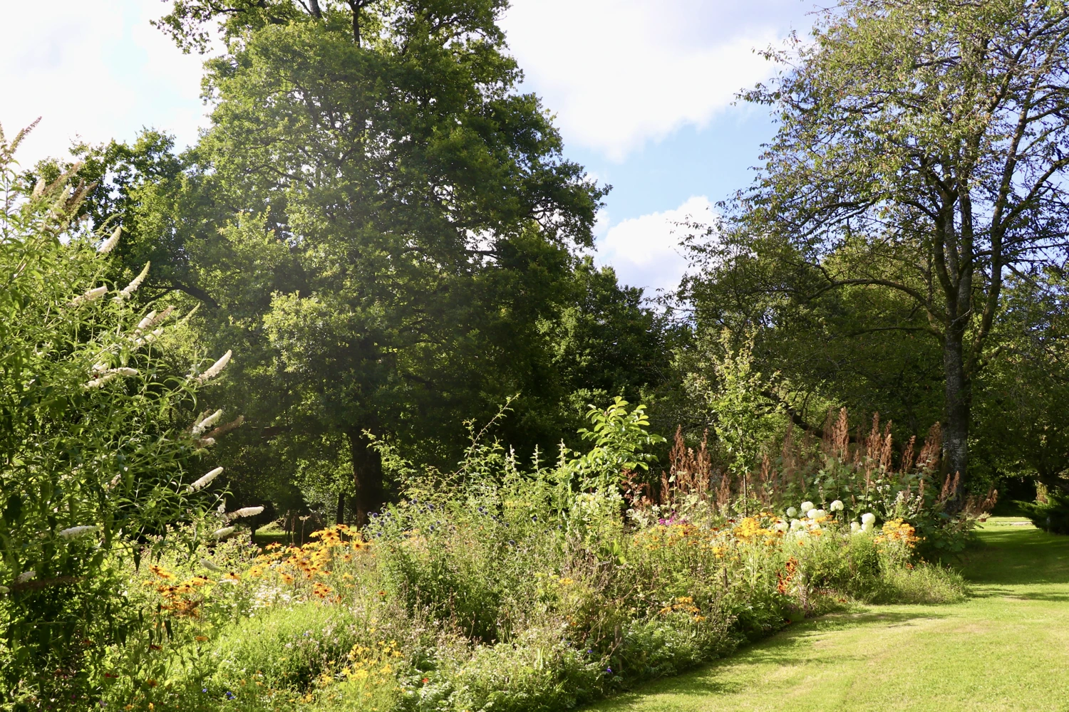 Jardin de Villevaleix, L'Église-aux-Bois - photo 7