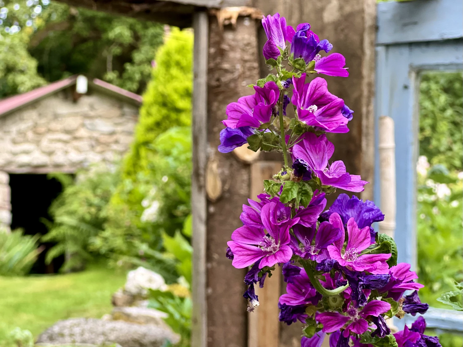 Jardin de Villevaleix, L'Église-aux-Bois - photo 2