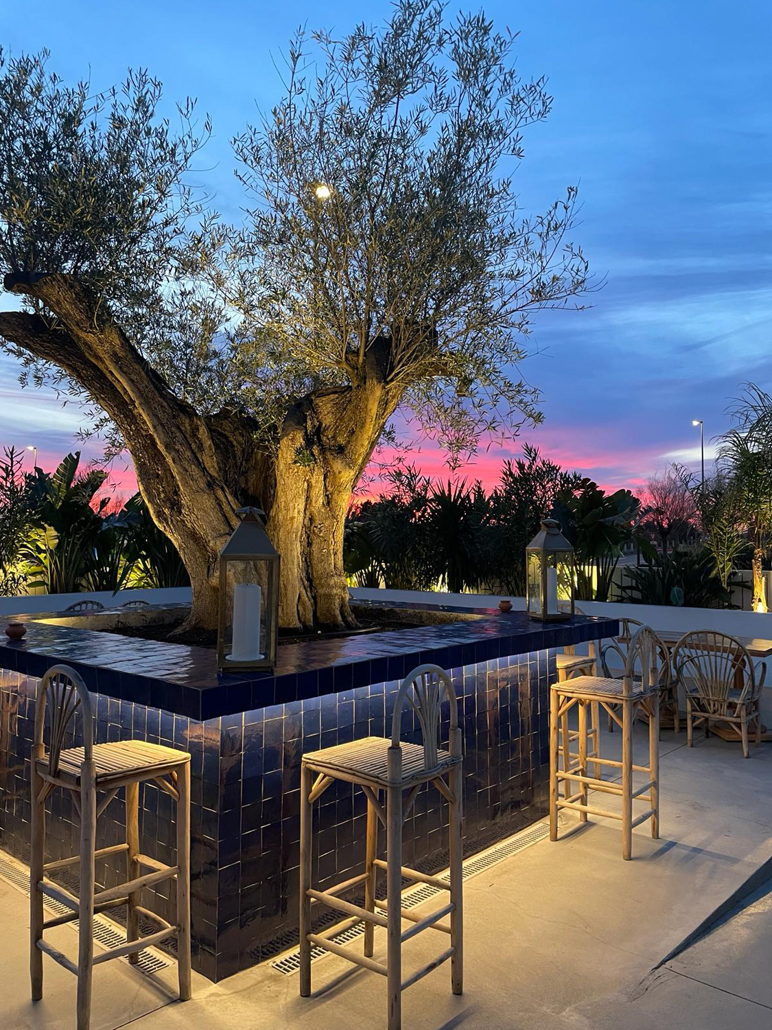 Le Jardin de la Paillote Bleue