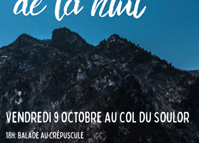 Le Jour de la Nuit