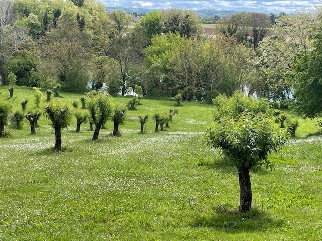 Gîte Le Lot d'Amandiers, Clairac