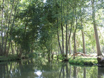 Gîte à Coulon (00579), Coulon - photo 3