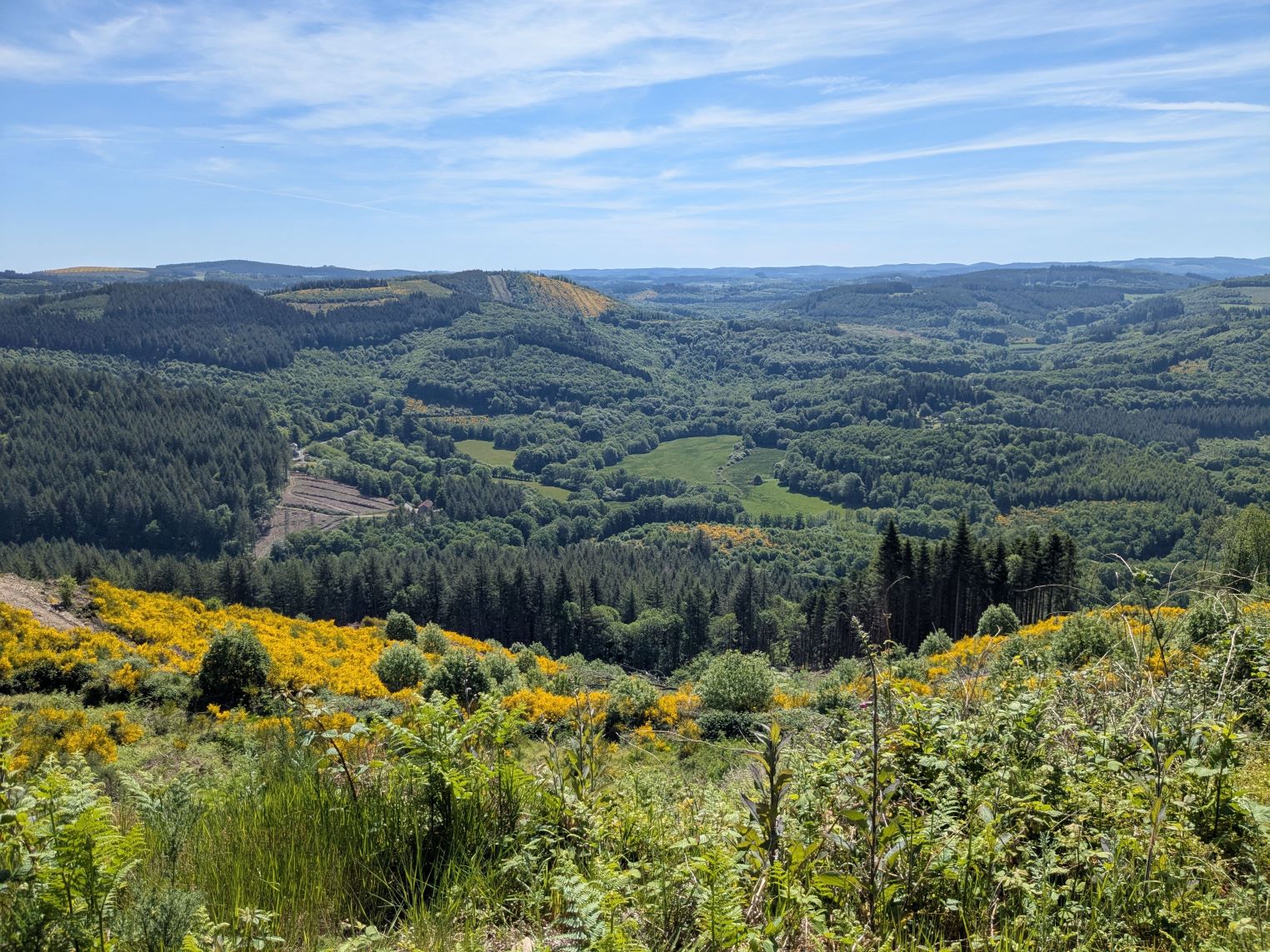 Trail du Mont-ceix, Chamberet - photo 6