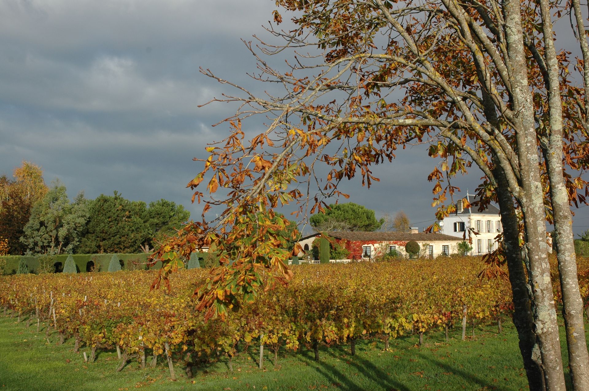 Le Moulin en Médoc, Saint-Yzans-de-Médoc - photo 2
