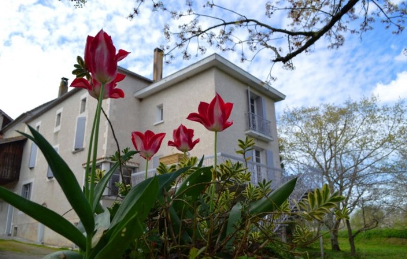 Le Moulin du Pont, Gaujac - photo 16