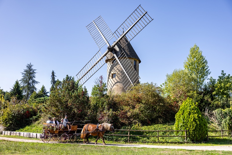 Fête des mères au Parc du Bournat