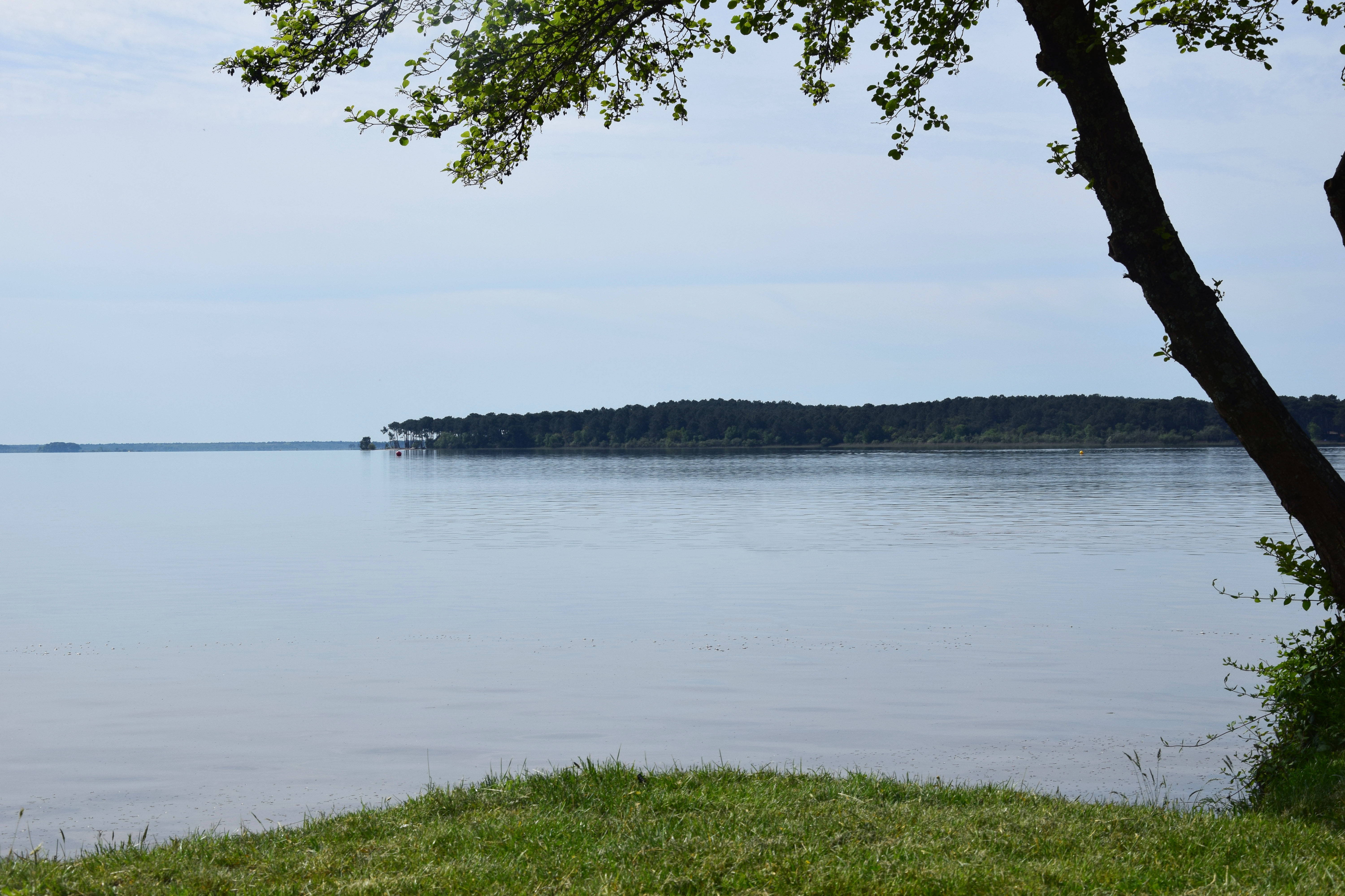 Tour des lacs, Carcans