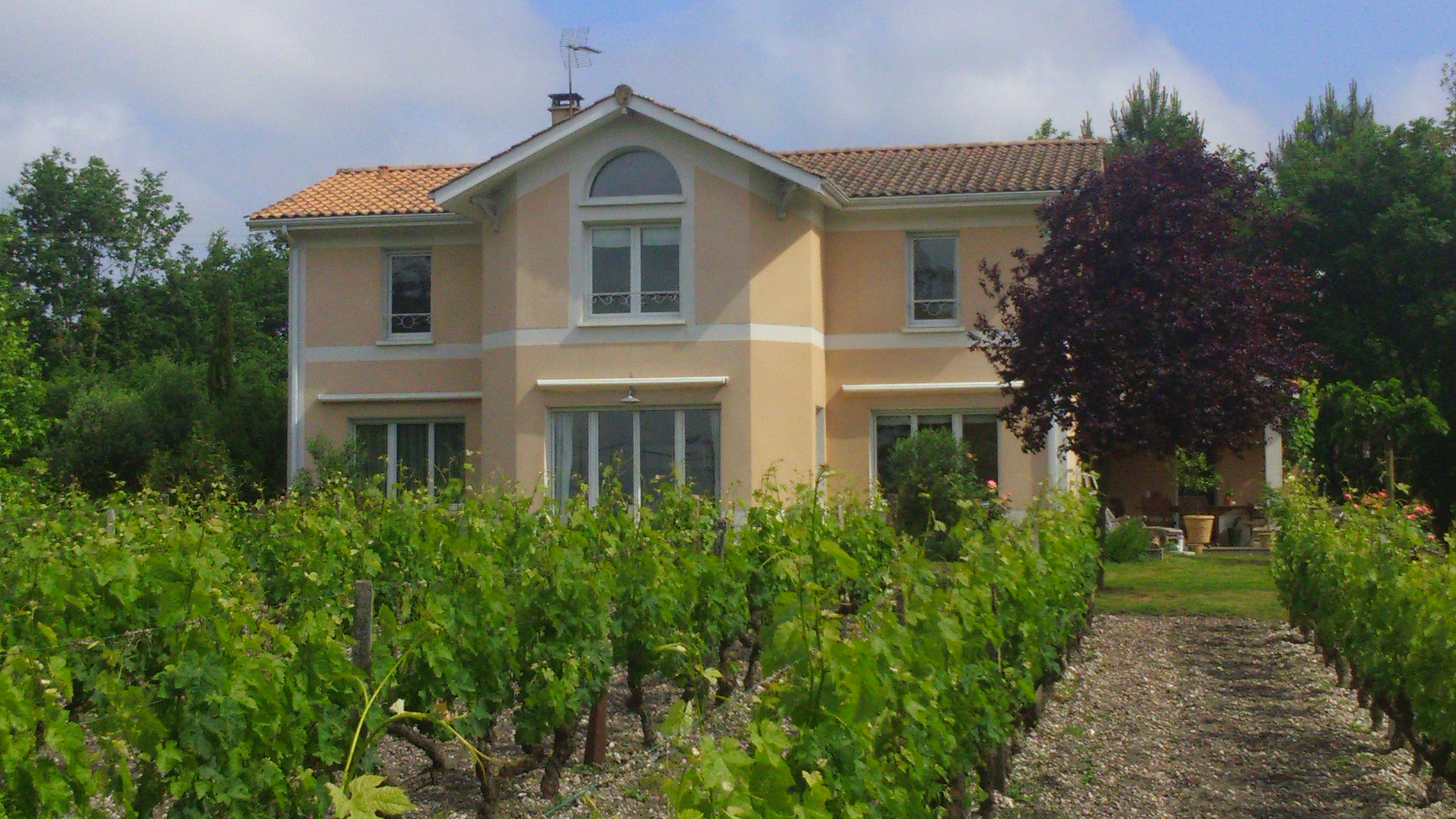 Le Nid dans la Vigne, La Brède - photo 2