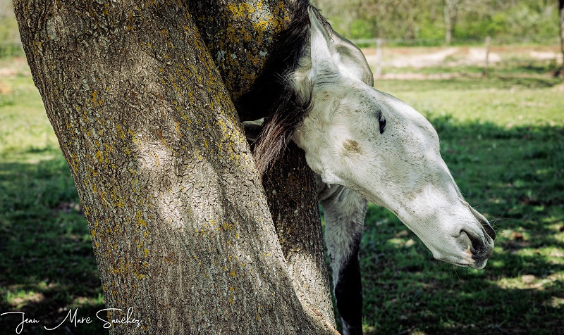 Le Nid du Coucou, Cocumont - photo 18