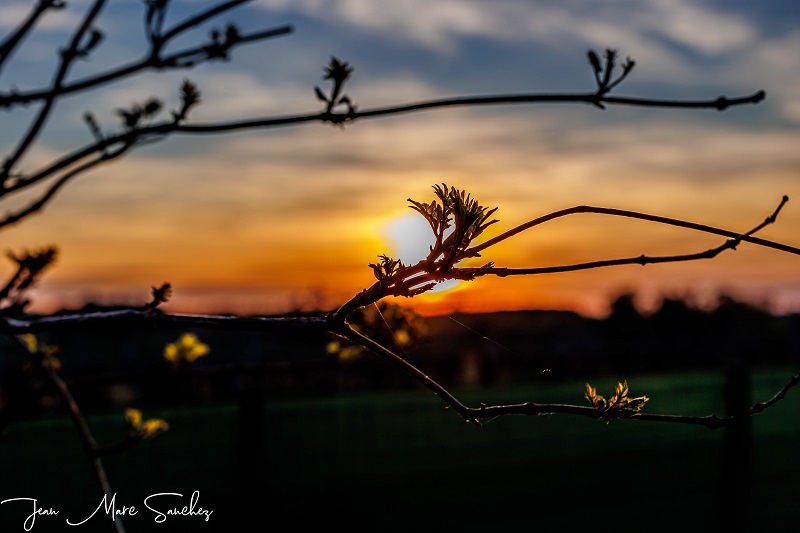 Le Nid du Coucou, Cocumont - photo 2