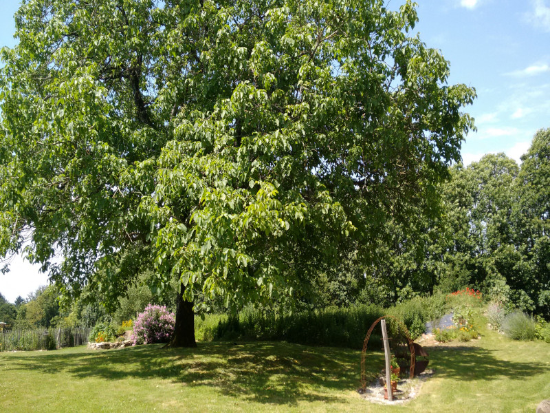 Les Rapiettes en Limousin, Dournazac - photo 9