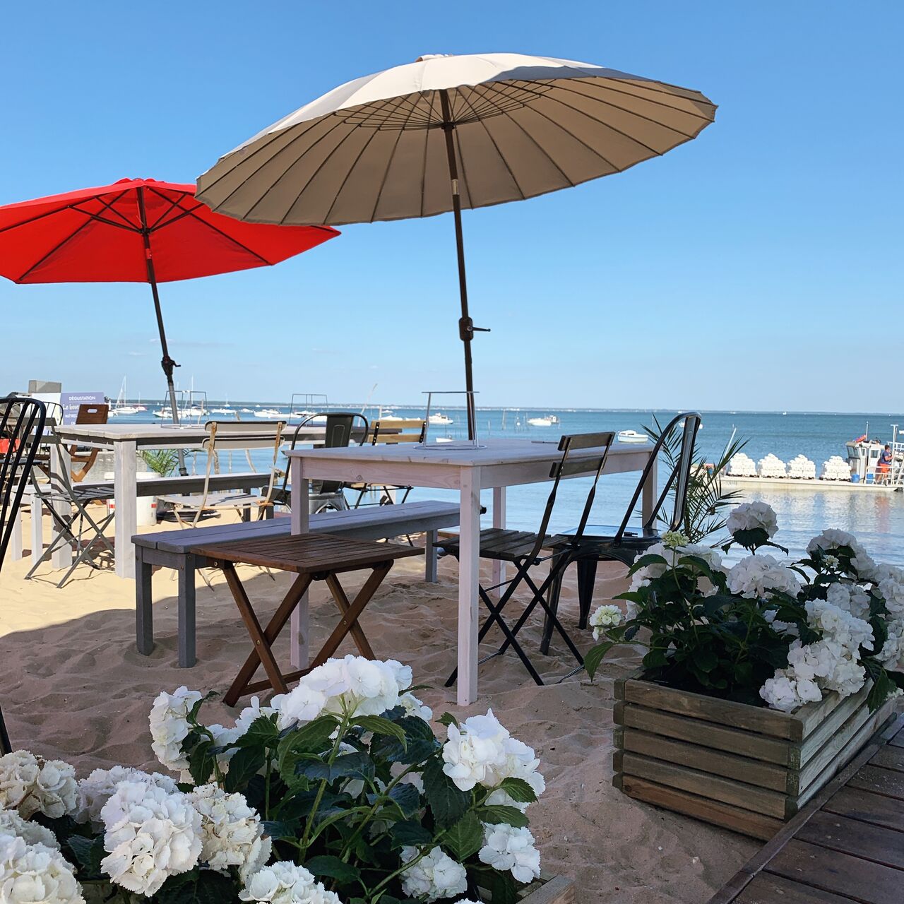 Le Petit Chenal - photo 3