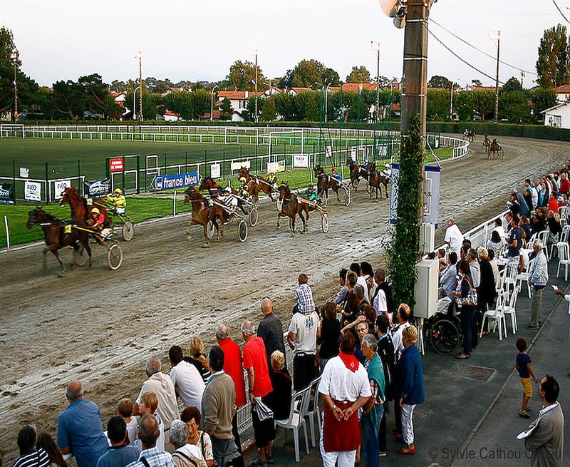 Société des Courses au Trot