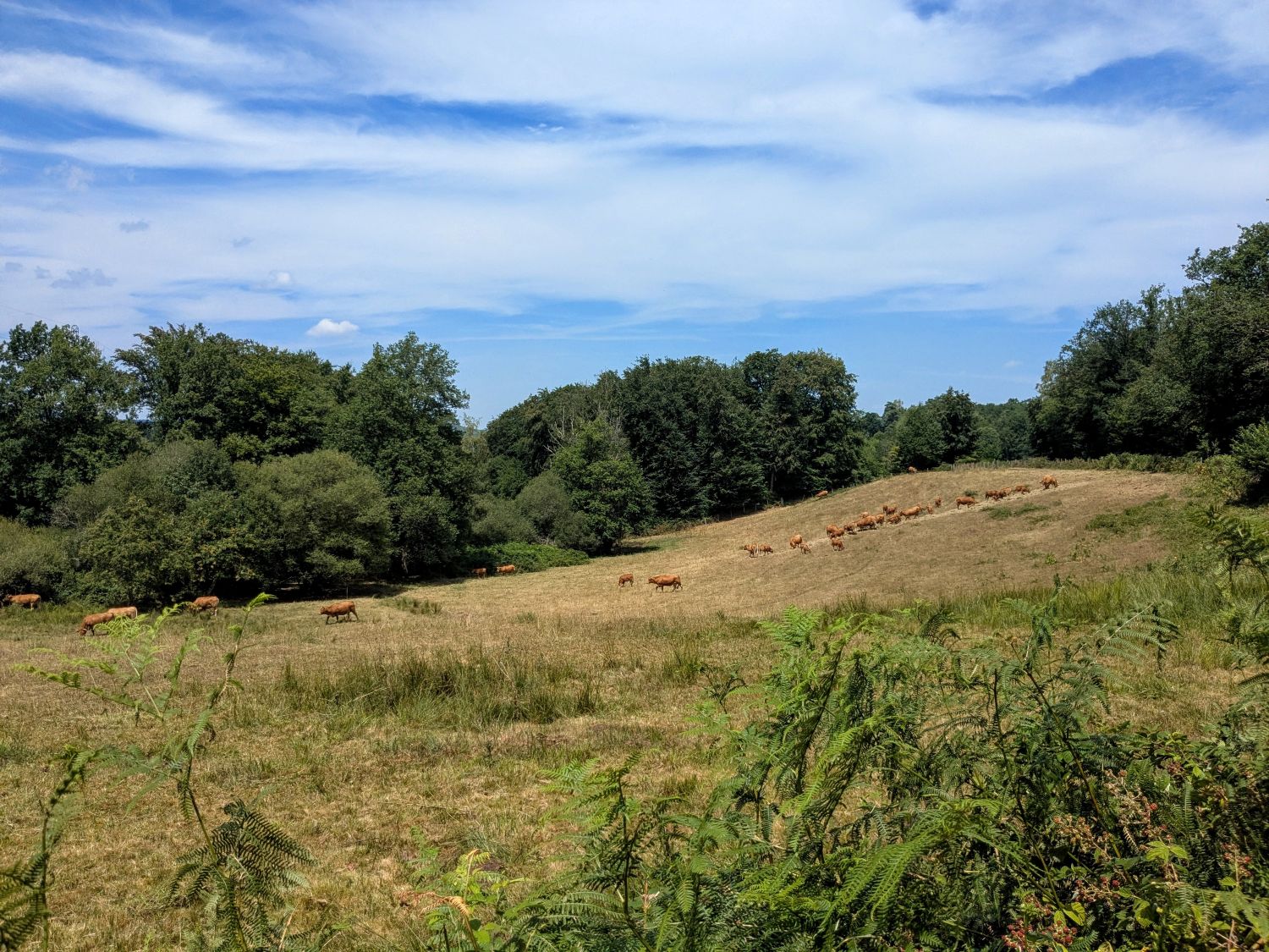Le Puy de la Nouaille
