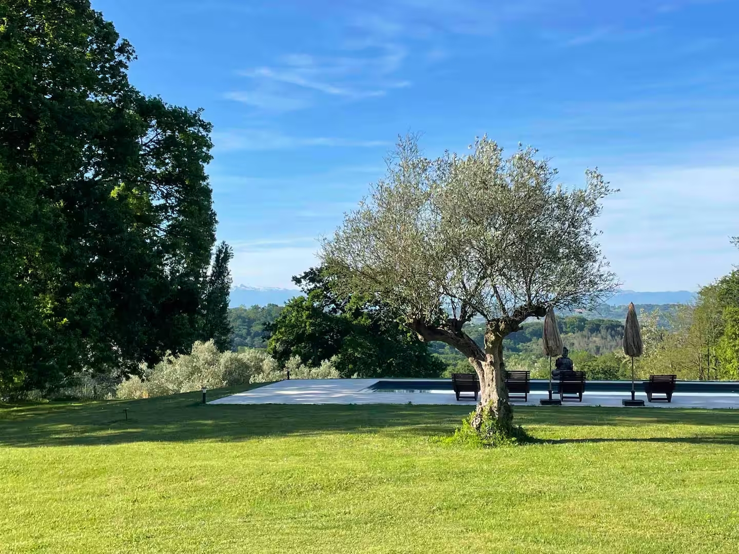 Le Rachet 1820, Habas - photo 7