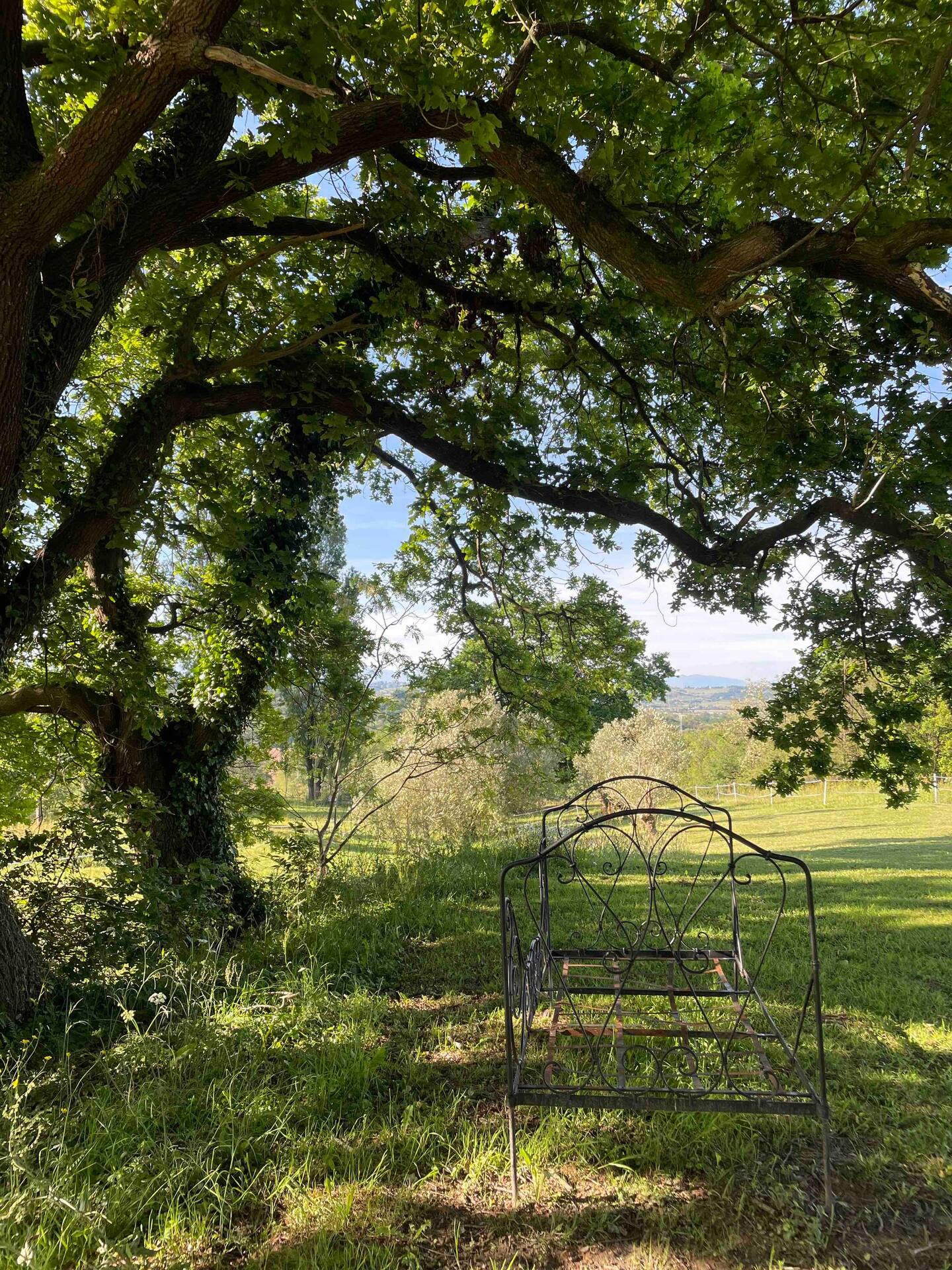 Le Rachet 1820, Habas