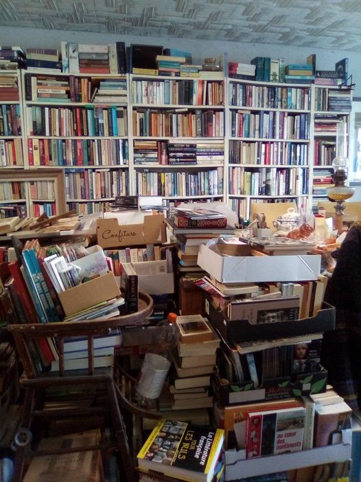 Le rat de bibliothèque