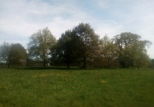 Le Refuge d'Eugénie - Armagnac