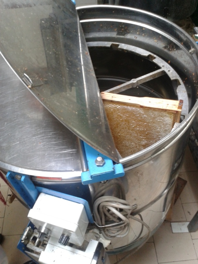 Le rucher de Chalosse - photo 3