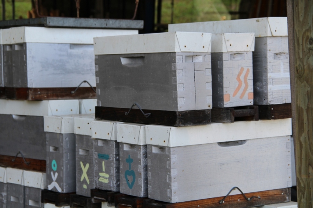 Le rucher de Chalosse - photo 2