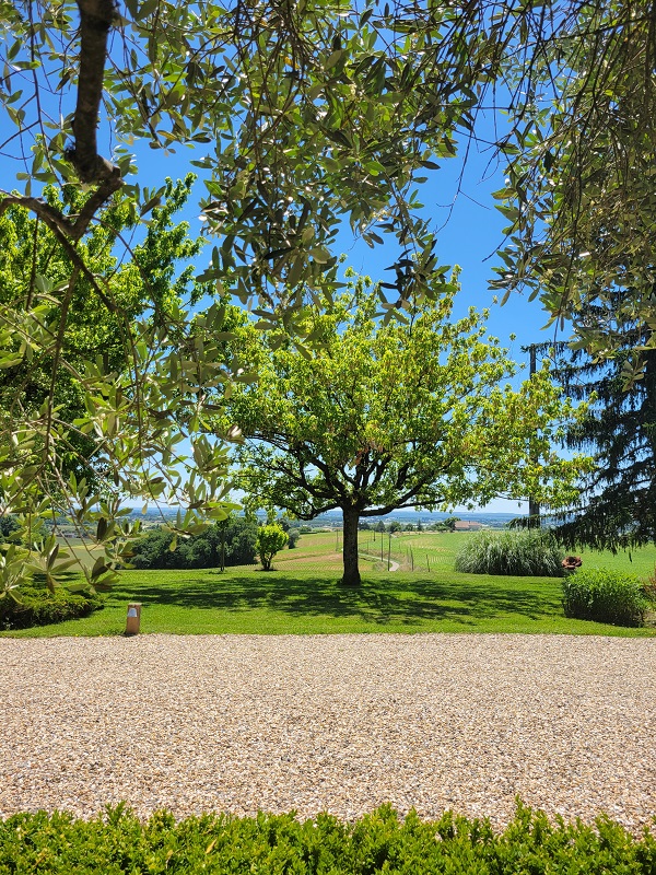 Le Sans Souci, Virazeil - photo 9