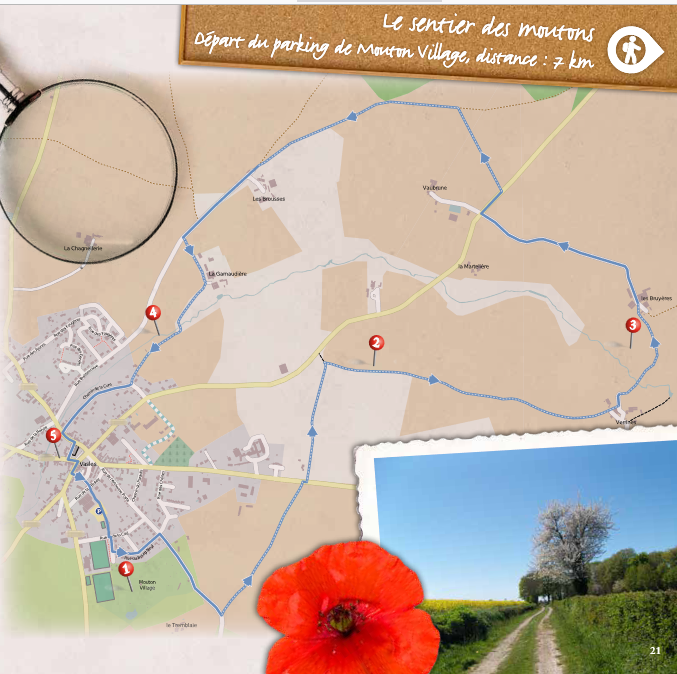 Le sentier des moutons