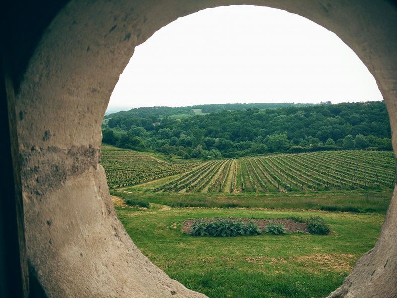 Château le Tap - photo 5